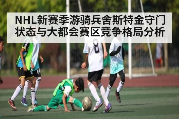 NHL新赛季游骑兵舍斯特金守门状态与大都会赛区竞争格局分析